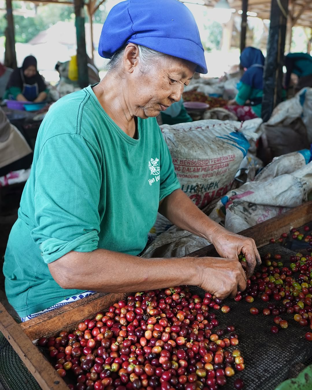 Understanding Indonesian Coffee Processing: What’s Best for Your Roast?