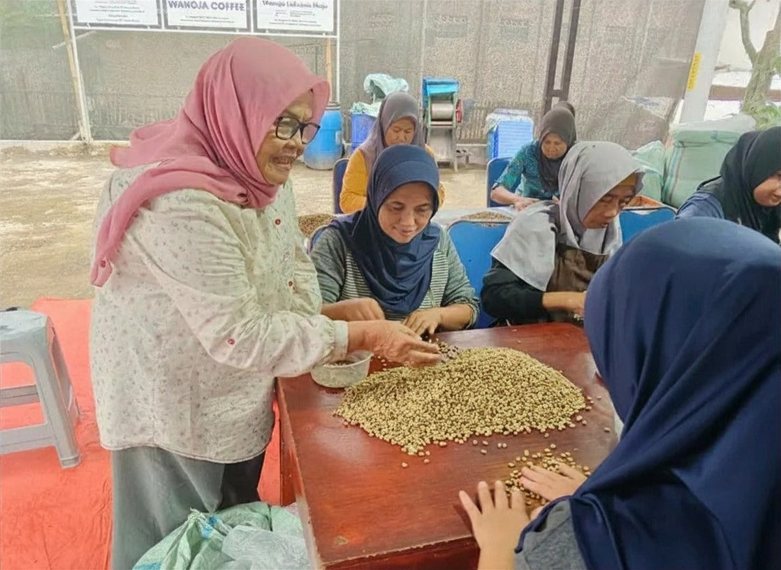 Eti Sumiati and the Women Who Built Wanoja Coffee