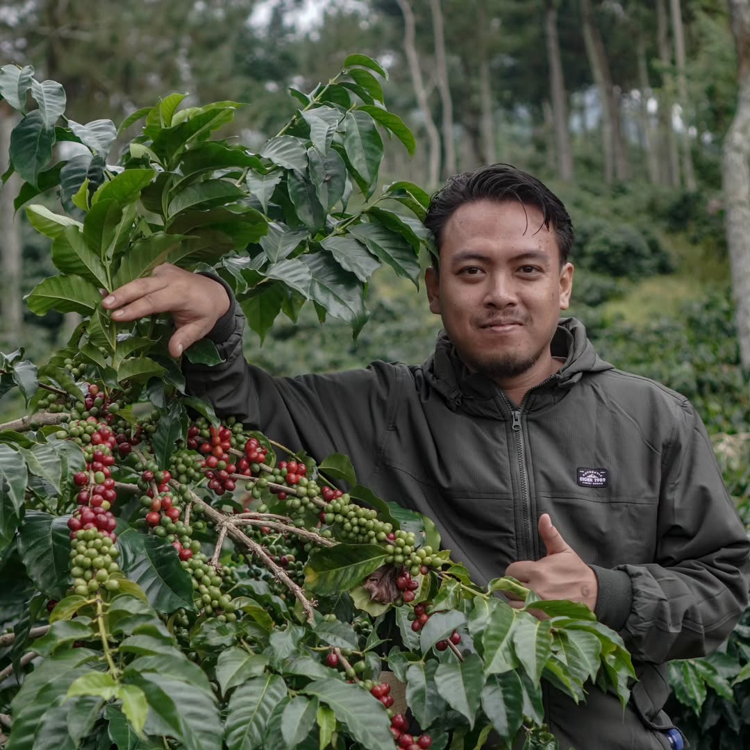 Efan Wibowo - Wibowo Coffee